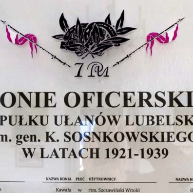 grawerowane logo 7 PUL druk UV tablica w muzeum