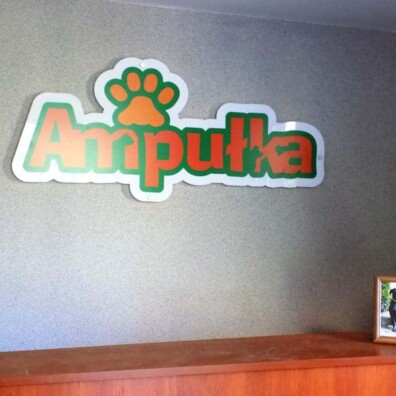 logo przestrzenne z pleksi podświetlane LED