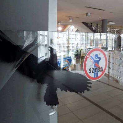 naklejki na szybę ostrzegawcza na basem mosir