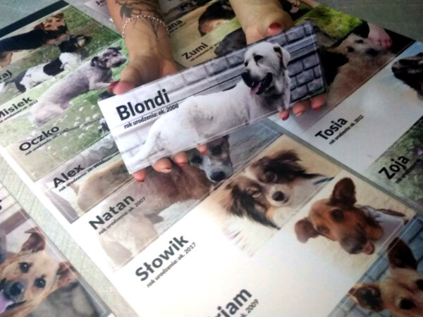 Reklama magnetyczna naklejka 024 magnesy reklamowe