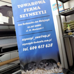 roll`up reklamowy z kasetą aluminiową
