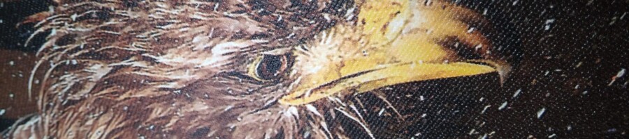 Druk obrazu na płótnie Canvas - Drukowanie grafiki na ścianę