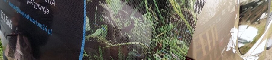 Naklejka na szybę samochodu | Drukowanie reklamy na samochody