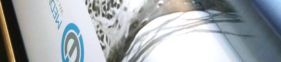 druk grafiki na rollup reklamowy