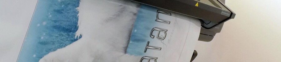 druk reklamy na folii samochodowej grafika ozdobna