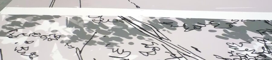 druk tapety na ścianę drukowanie wybranego wzoru na tapecie