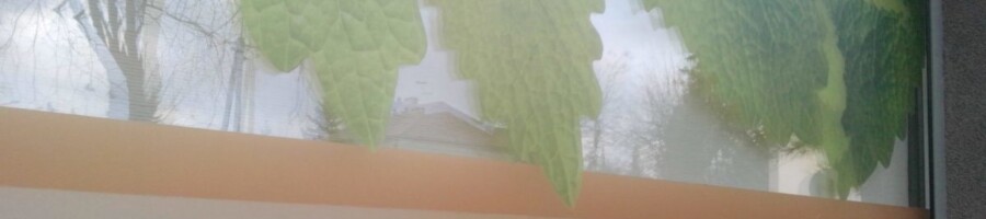 grafika reklamowa druk na szyby przychodni