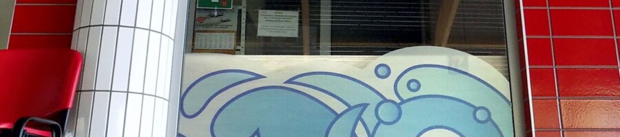 naklejka na szyby folia mrożona z nadrukiem