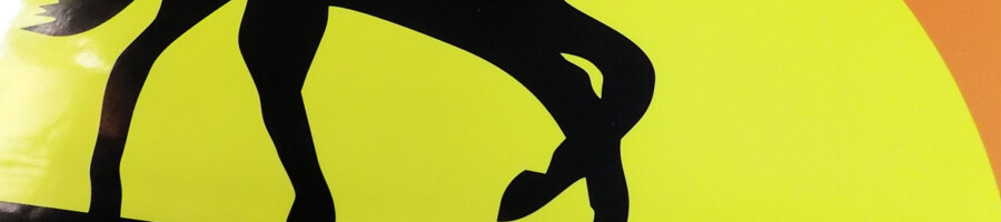 naklejki na autobus wydruk laminowany