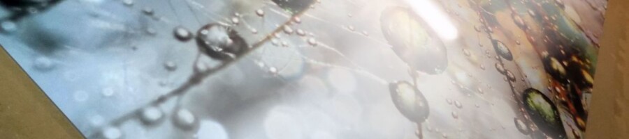 obraz na szkle druk grafiki na tafli szkła