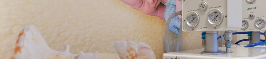 tapeta do szpitala druk bezpieczny ekologiczny