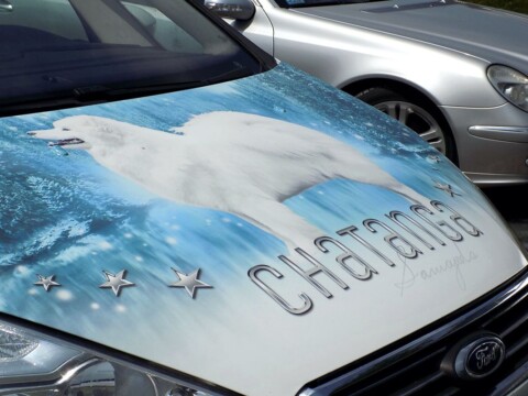 Reklama na samochodzie maska pojazdu