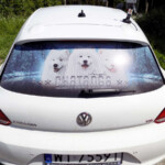 reklama na samochód naklejka reklamowa na szybę | Oklejenie samochodów grafiką - reklama