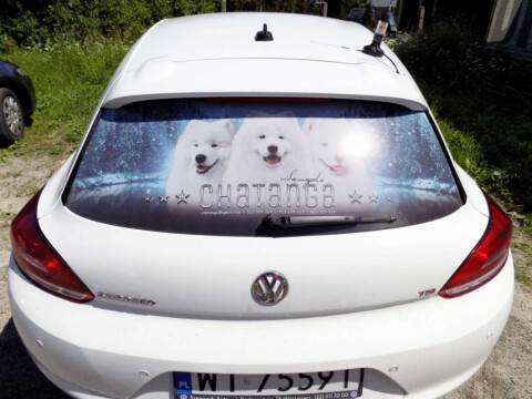 reklama na samochód naklejka reklamowa na szybę | Oklejenie samochodów grafiką - reklama