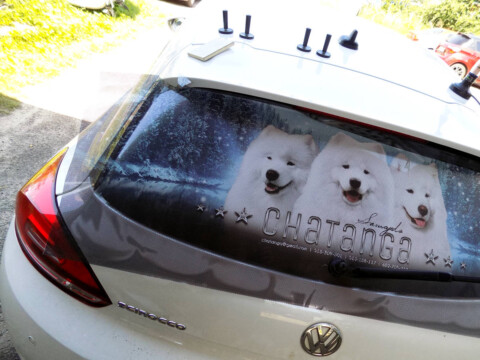 reklama na samochód naklejka reklamowa na szybę auta