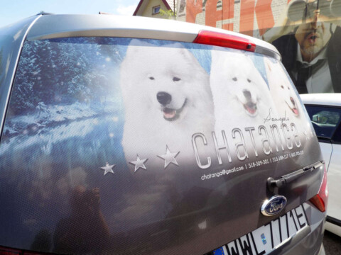 reklama samochodowa szyba oklejanie naklejka dziurkowana