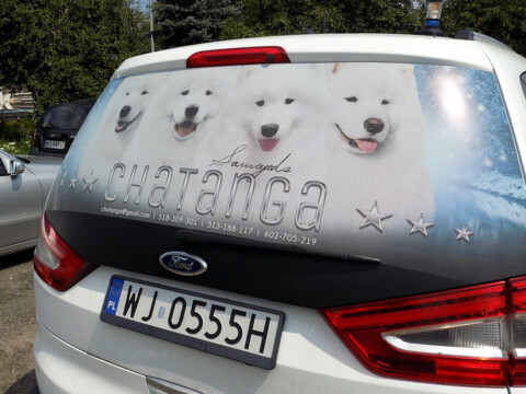 reklama na szybie samochodu - oklejanie szyby samochodu dziurkowana folia