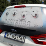 reklama na szybie samochodu - oklejanie szyby samochodu dziurkowana folia