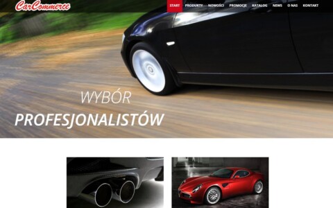 strona internetowa tworzenie strony internetowej